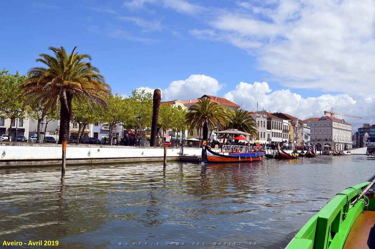 1393 - Aveiro.jpg